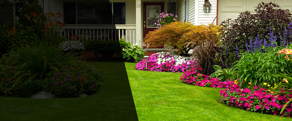 Saint Amant Landscapers