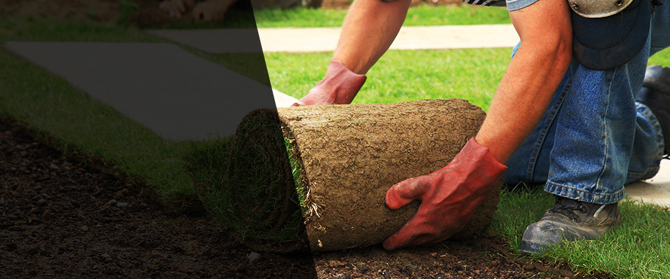 Saint Amant Landscapers